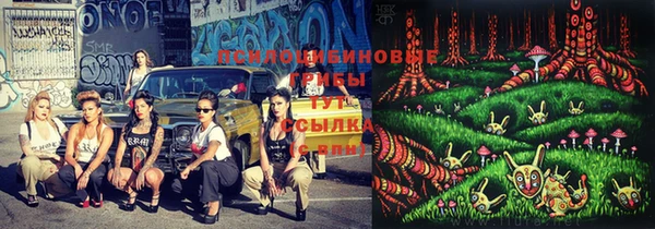 эйфоретик Горнозаводск