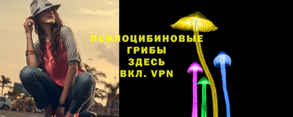 MDMA Вяземский
