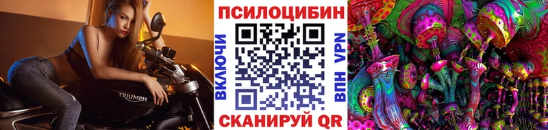 Купить закладки  Тбилисская  Псилоцибиновые грибы MAGIC MUSHROOMS 