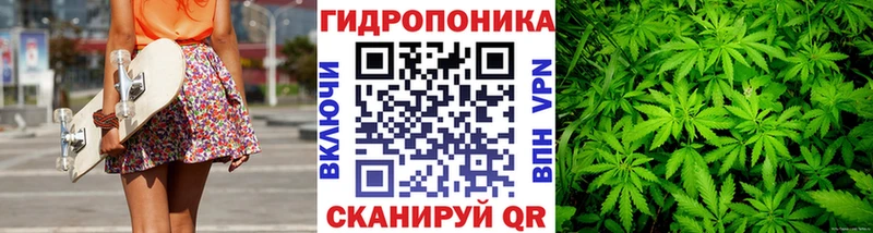 Купить где Тбилисская МАРИХУАНА конопля